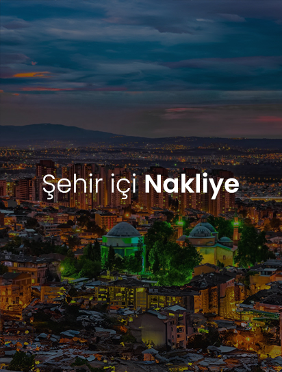 Akar Taşımacılık